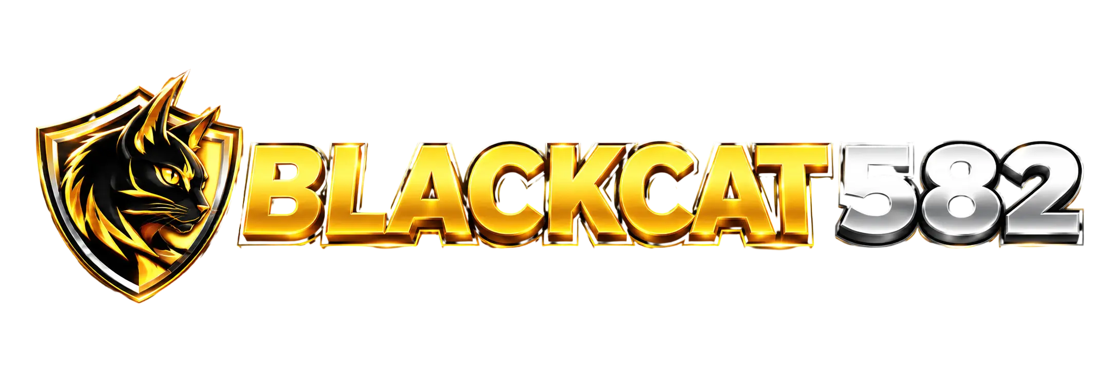 BLACKCAT582 LOGO